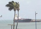 Inmet emite alerta de vendaval para 116 cidades do Ceará; confira lista