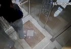 Namorado de estudante encontrada morta em prédio ainda não foi encontrado; celular da mãe dele é apreendido