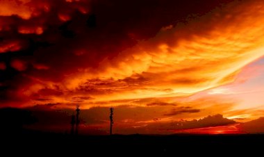 Alerta vermelho: onda de calor extrema coloca 3 estados do Brasil em perigo nos próximos 5 dias