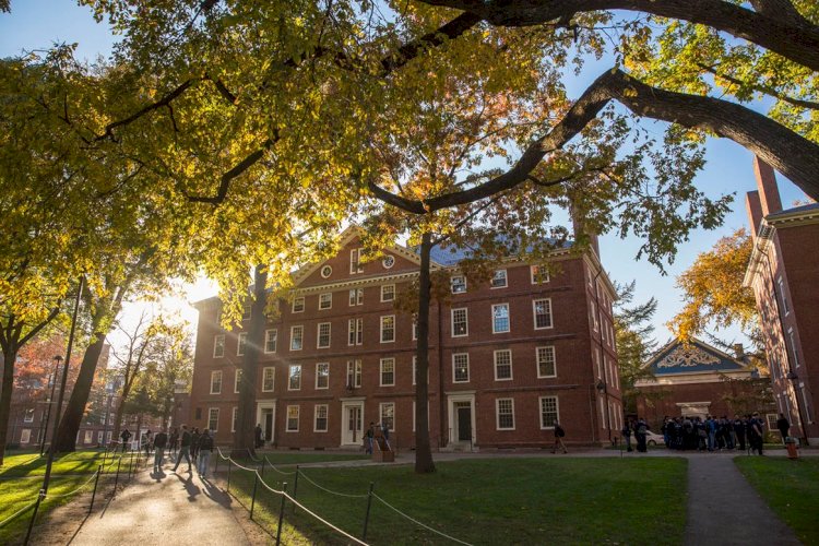 Universidades dos EUA dominam pódio de melhores no mundo; veja ranking